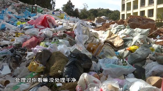 保潔將垃圾丟至森林保潔將垃圾丟至森林，環(huán)保意識(shí)的缺失與反思