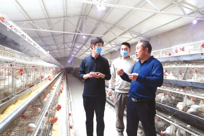 養(yǎng)殖戶刺死供電所長養(yǎng)殖戶刺死供電所長事件深度解析