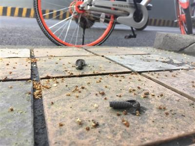 不銹鋼盲道釘安裝施工流程不銹鋼盲道釘安裝施工流程詳解