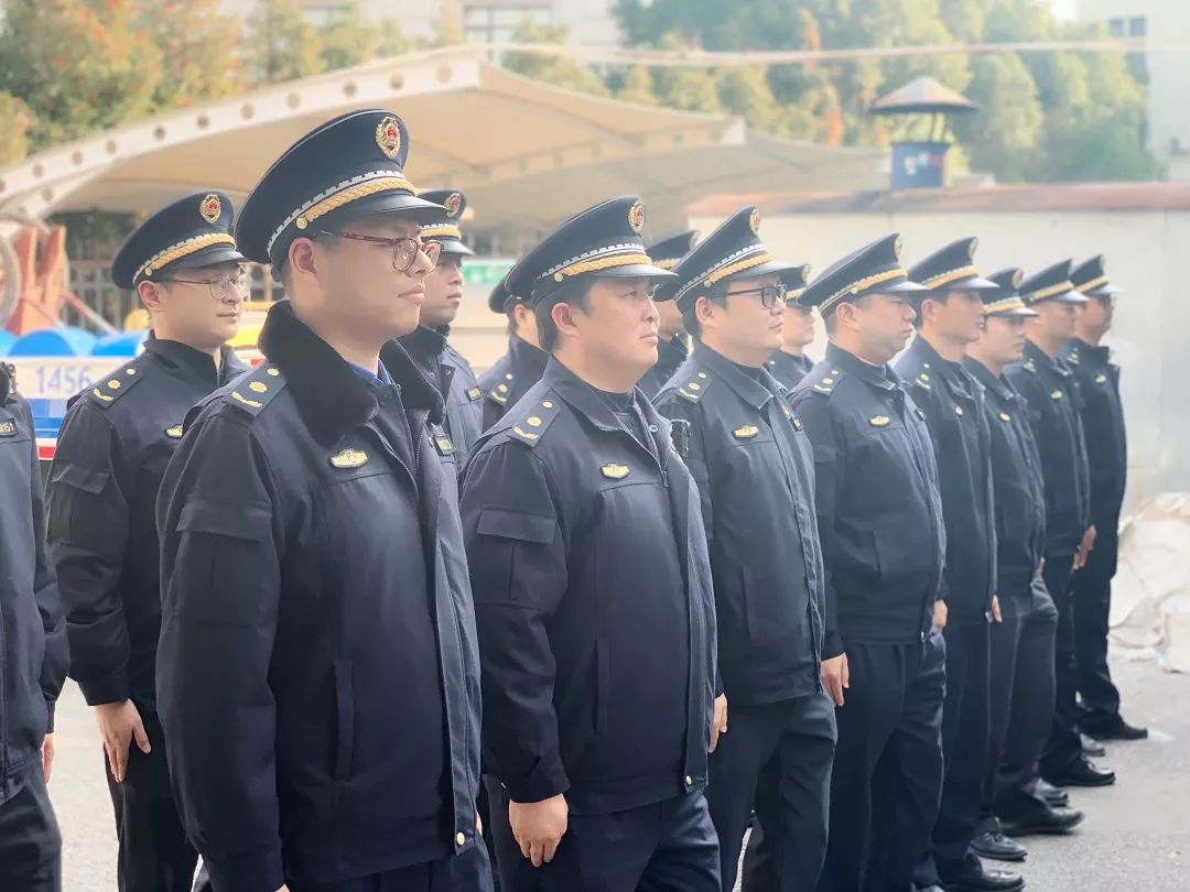 執(zhí)法 案例執(zhí)法案例，深度解析與探討