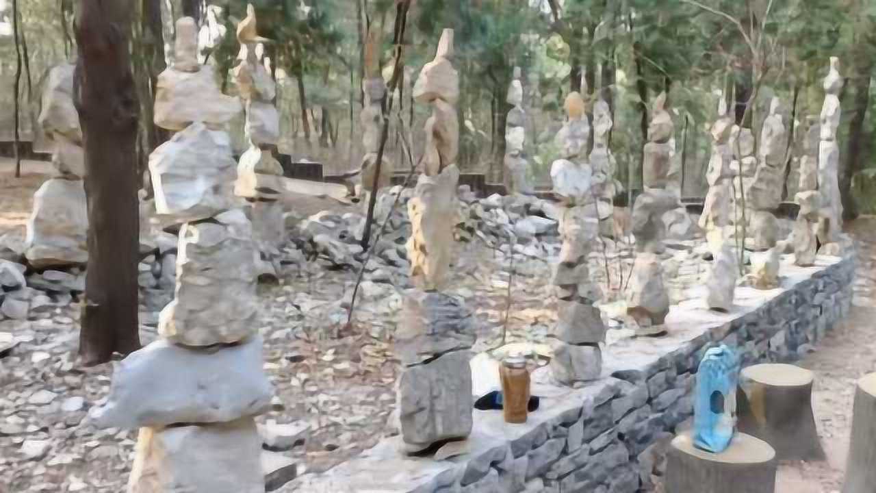 四川一男子在林中發(fā)現(xiàn)劍形石柱陣揭秘四川神秘石柱陣，男子林中意外發(fā)現(xiàn)劍形石柱群