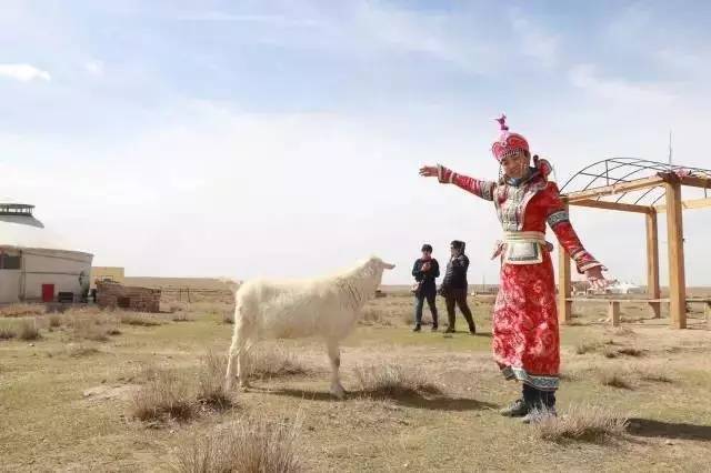 內(nèi)蒙穿啥在內(nèi)蒙古，由于地域和氣候的差異，人們的穿衣風(fēng)格會(huì)有所不同。