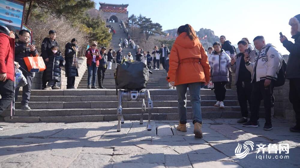 兩名盲人帶導(dǎo)盲犬爬泰山引爭議兩名盲人帶導(dǎo)盲犬爬泰山，引發(fā)深度討論與反思