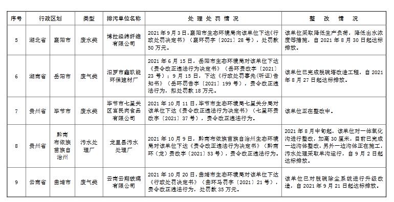 處分整改情況處分整改情況全面解析，從問題到解決方案