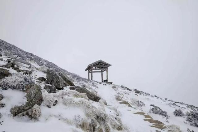 太白山 下雪太白山下雪的魅力與神秘