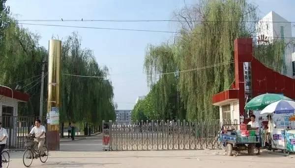 河南打工人數(shù)自媒體文章標題，揭秘河南打工人數(shù)背后的故事