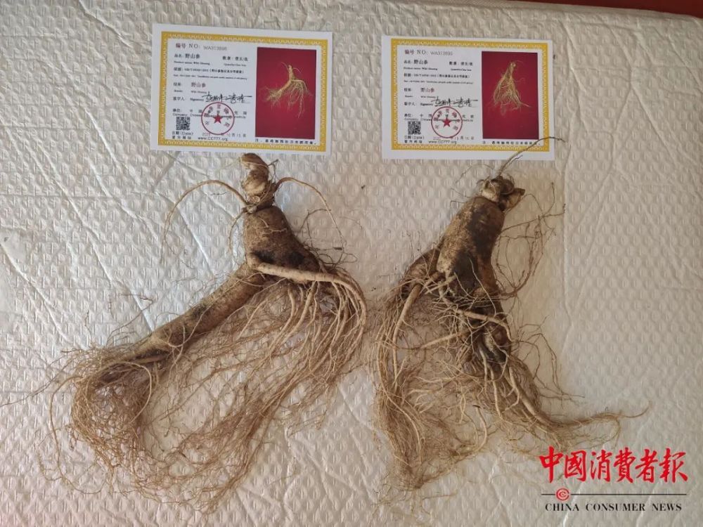 在港買參被宰近萬元揭秘在港買參遭遇高價宰客，損失近萬元的真實經(jīng)歷
