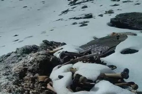喜馬拉雅山離奇事件喜馬拉雅山是世界上最高的山脈之一，因其地理位置和極端環(huán)境而聞名。關(guān)于喜馬拉雅山的離奇事件有很多傳說(shuō)和故事，以下是一些較為著名的離奇事件