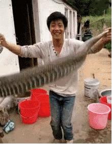 男子被蛇咬傷騎車就醫(yī) 半路毒發(fā)摔倒男子被蛇咬傷騎車就醫(yī)，半路毒發(fā)摔倒——緊急救援與蛇咬傷的應對之道
