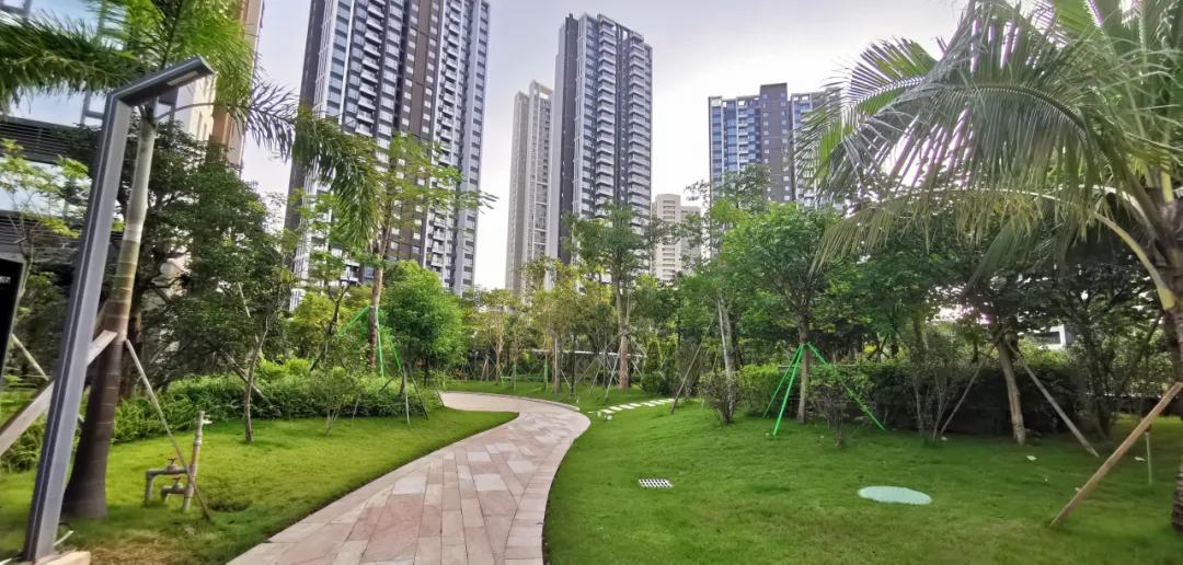 深圳放松限購(gòu)深圳樓市新動(dòng)向，放松限購(gòu)政策，開啟購(gòu)房新篇章