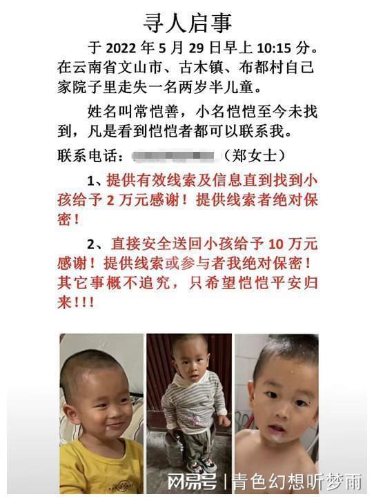 兩歲男孩失蹤兩歲男孩失蹤事件揭秘，尋找真相，守護天使歸途