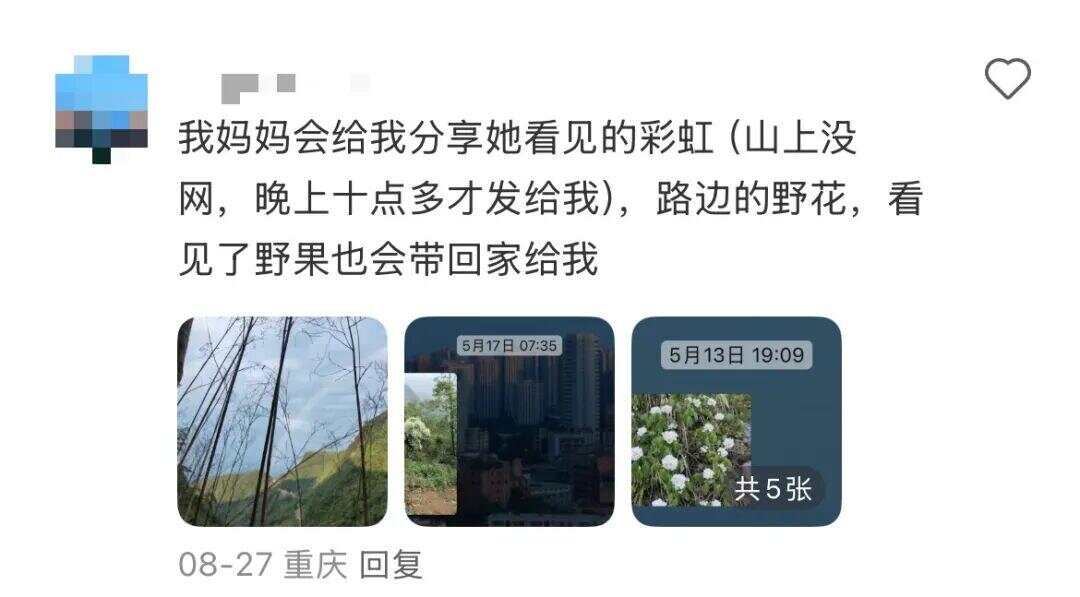 “我爸給我寄了兩枝路邊看到的花”我爸給我寄來的路邊鮮花，別樣的溫情與感動(dòng)