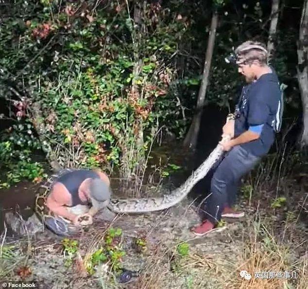 景區(qū)巨型蛇頭被覆蓋：游客投訴嚇人景區(qū)巨型蛇頭被覆蓋，游客投訴嚇人——深度探究與解決方案