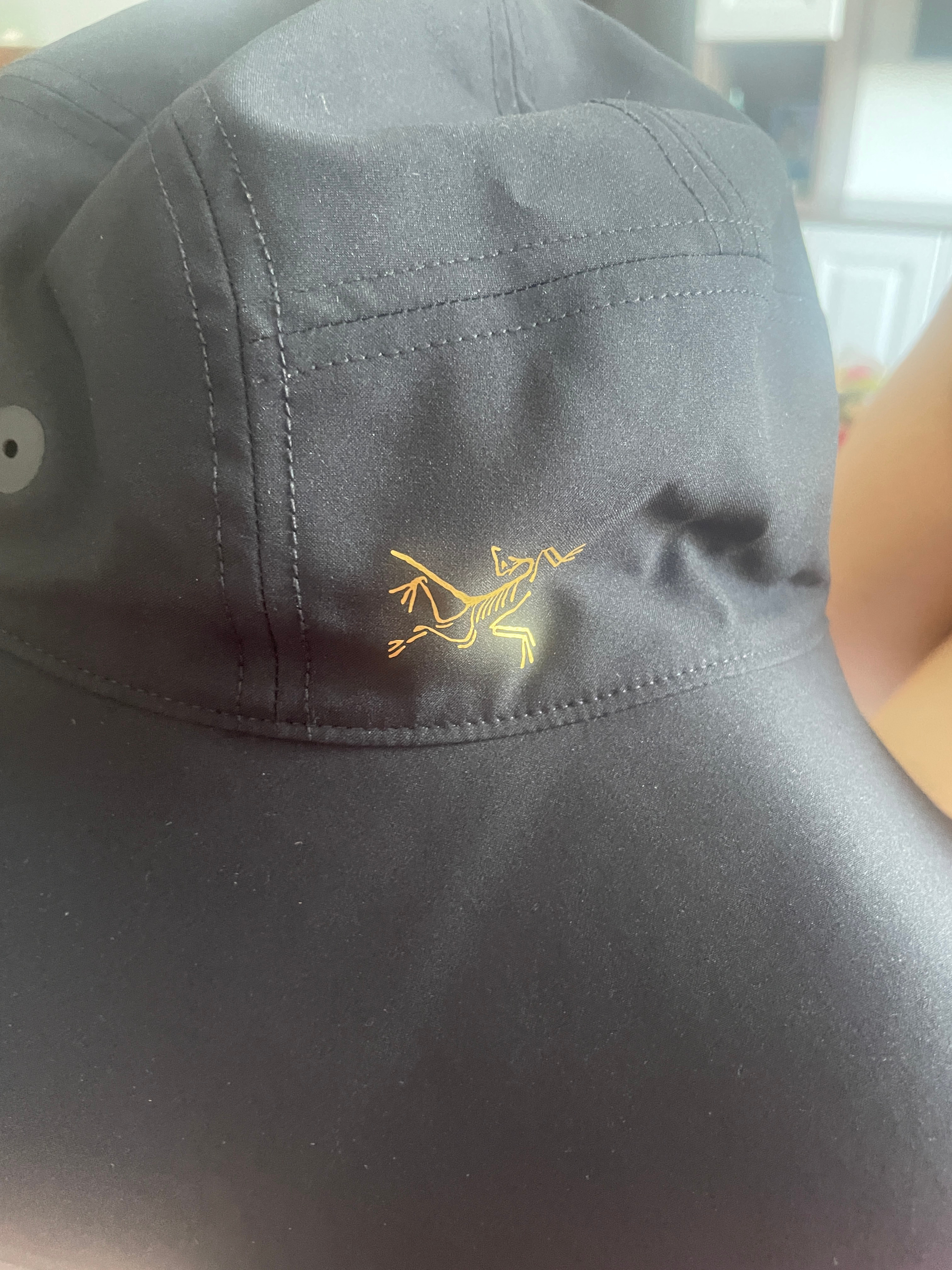 飄了的始祖鳥開始玩“火”飄了的始祖鳥，玩火的傳奇之旅