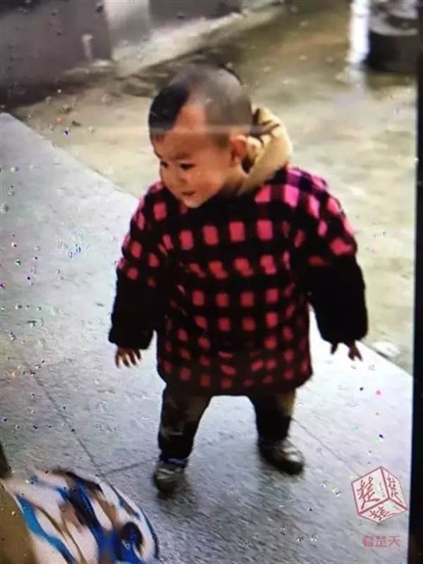 2歲男孩失蹤后身亡兩歲男童失蹤后身亡的悲劇事件深度解析