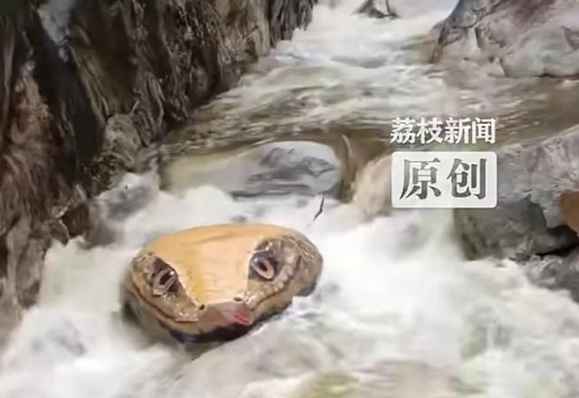景區(qū)巨型蛇頭被覆蓋：游客投訴嚇人關(guān)于景區(qū)巨型蛇頭被覆蓋引發(fā)游客投訴的問題，需要綜合考慮多個方面因素。