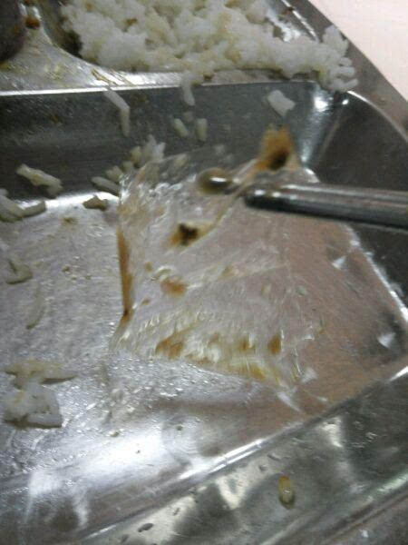 飯店吃出蛆怎么辦飯店吃出蛆蟲，該如何應(yīng)對？一篇文章帶你了解應(yīng)對之策
