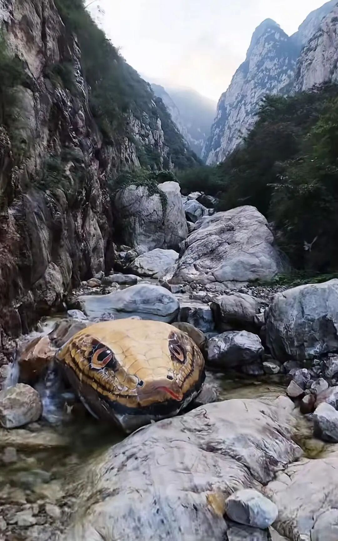 景區(qū)巨型蛇頭被覆蓋關(guān)于景區(qū)巨型蛇頭被覆蓋的情況，可能是由于多種原因?qū)е碌?。以下是可能的原? class=