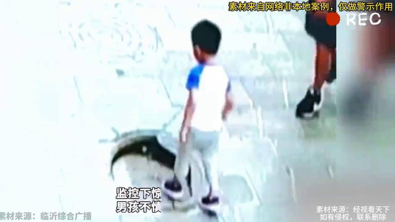 西安11歲男孩玩耍時墜井身亡視頻據(jù)報道，西安一名年僅11歲的男孩在玩耍時不慎墜入井中，最終不幸身亡。關(guān)于這一事件的視頻可以在網(wǎng)絡(luò)上找到，但請注意，這樣的視頻可能包含令人不適的內(nèi)容，請務(wù)必謹(jǐn)慎觀看。