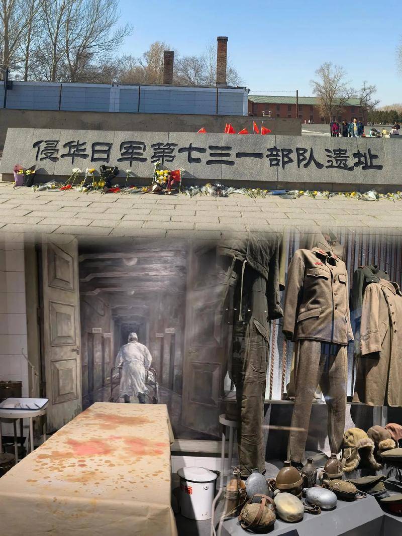 海外觀眾看731抹淚海外觀眾觀看731抹淚背后的故事，真實(shí)歷史的震撼與感動