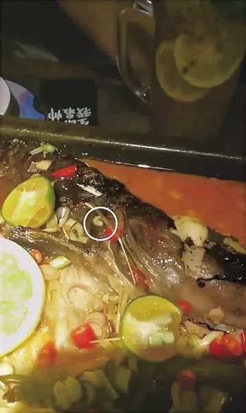 顧客吃日料發(fā)現(xiàn)活蛆顧客在日料店用餐發(fā)現(xiàn)活蛆，引發(fā)食品安全與健康問題關(guān)注
