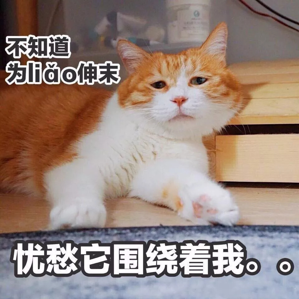 有些狗你只有撫養(yǎng)權(quán)沒有使用權(quán)有些狗，只有撫養(yǎng)權(quán)，沒有使用權(quán)——深度解讀人與寵物的特殊關(guān)系